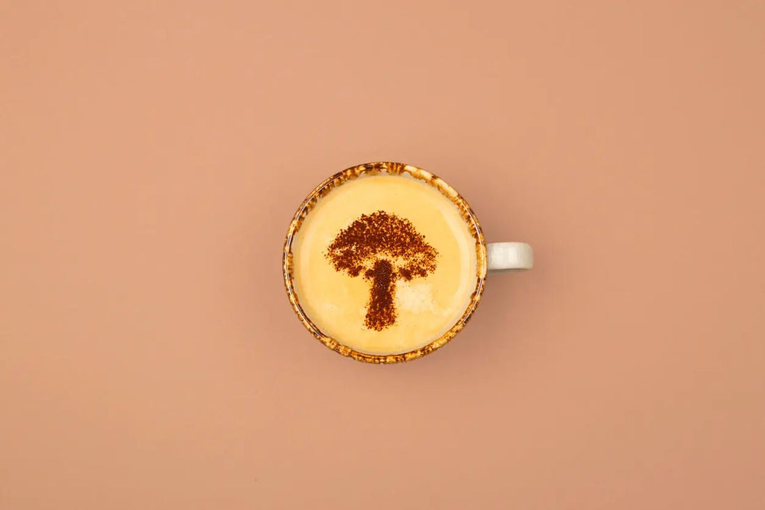Don’t Buy Nootropic Mushroom Coffee Until You Read This Guide! - Sporganix