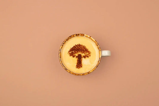 Don’t Buy Nootropic Mushroom Coffee Until You Read This Guide! - Sporganix