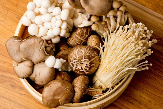 Functional Mushrooms Health Benefits Backed by the Latest Science - Sporganix