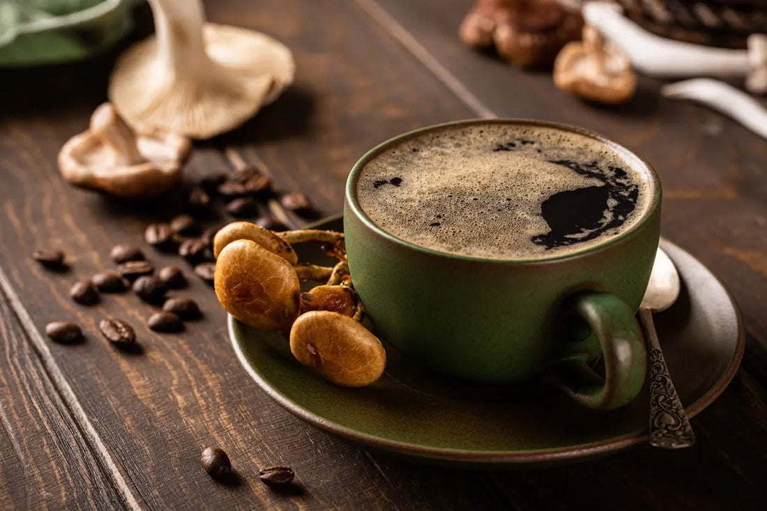 Mushroom Coffee vs Regular Coffee – Which One Fits Your Lifestyle Best? - Sporganix