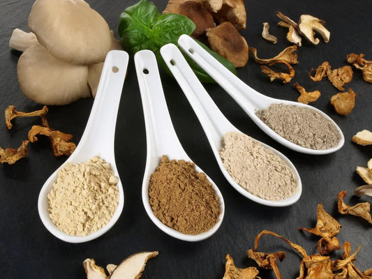 Nootropic Mushrooms for Energy: Unlock Focus, Stamina, and Brainpower - Sporganix